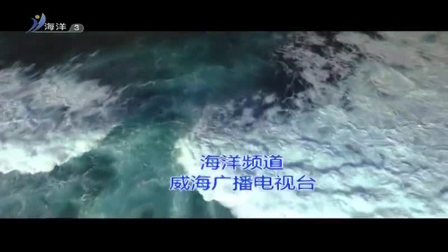 魅力海洋 2019-08-08(19:45:00-20:00:00)