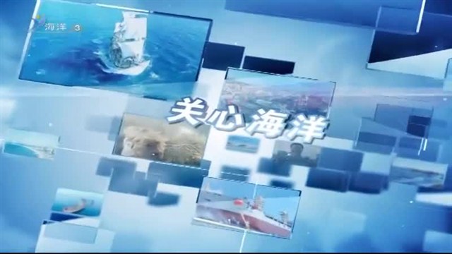 魅力海洋 2019-08-17(19:45:00-20:00:00)