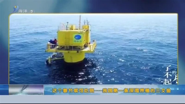 中国海洋资讯 2019-08-25(20:00:00-20:20:00)