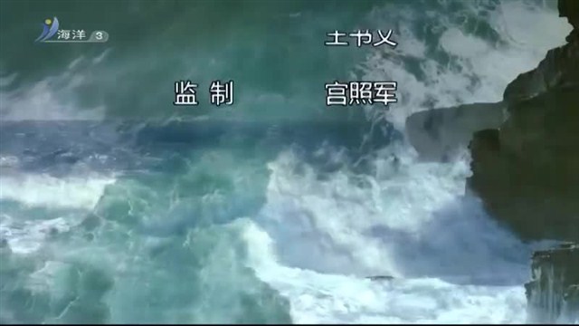 魅力海洋 2019-08-06(19:45:00-20:00:00)