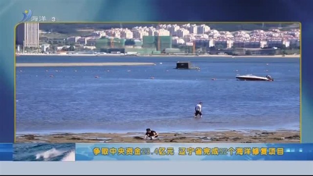 魅力海洋 2019-09-26(19:45:00-20:00:00)