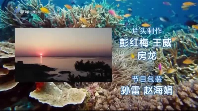 魅力海洋 2019-10-18(19:45:00-20:00:00)