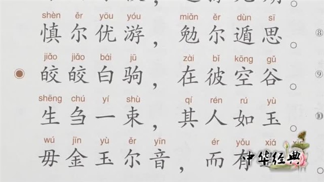黄鸟简谱_小黄鸟