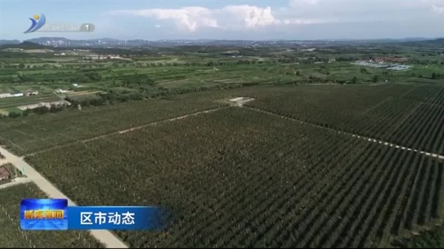 高新区青旺农场荣获“山东省工友创业园”称号