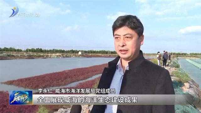 [威海电视台]深秋海滩“别样红”