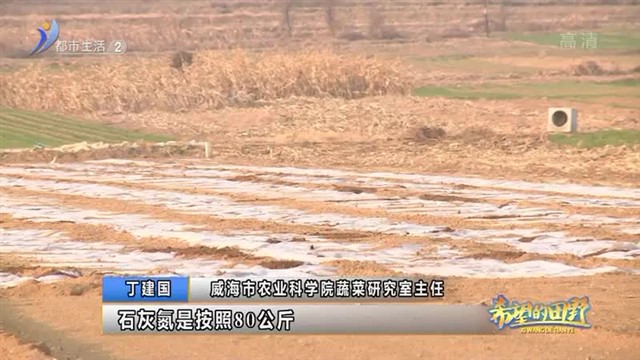 严防大姜土传病害 科学实验土壤消毒