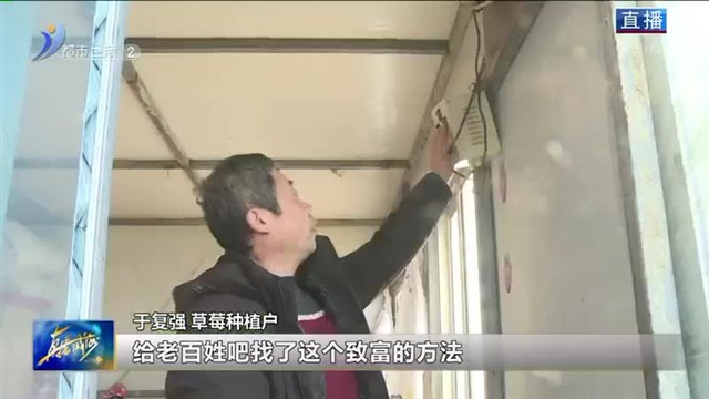 春早人勤 采摘园里有“春天”