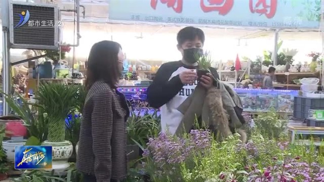 冬去春来 花卉市场春意盎然 供销两旺