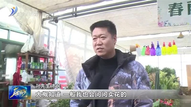 春季花卉市场火起来 家中养花有讲究