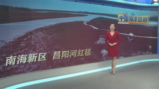 中国海洋资讯 2023-03-08