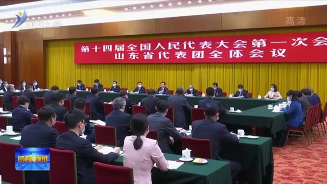 孔凡萍参加十四届全国人大一次会议  山东代表团分组审议