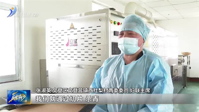 树上树下综合利用 西杜梨村的桑树产品又上新了