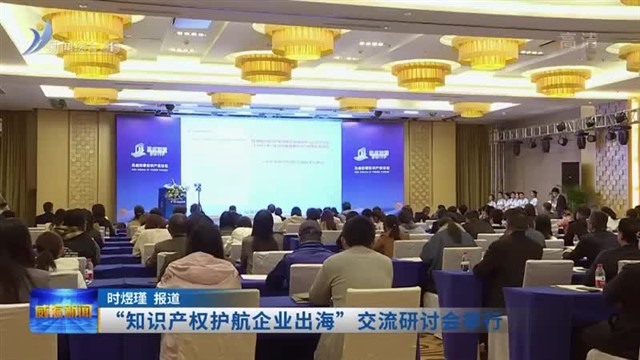 “知识产权护航企业出海”交流研讨会举行