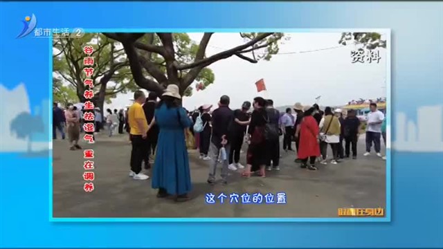 谷雨节气养生祛湿气 重在调养