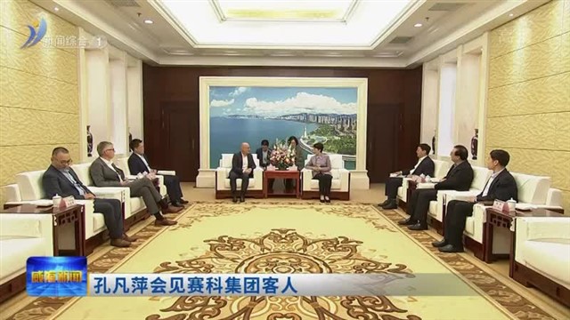 孔凡萍会见赛科集团客人