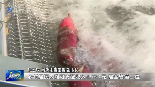 全市粮食播种面积和产量实现两连增