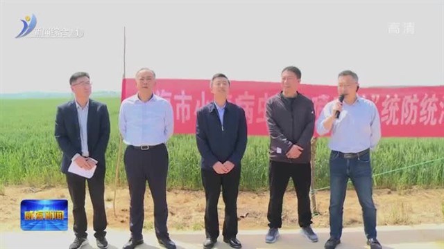 严防小麦病害 保障夏粮丰产