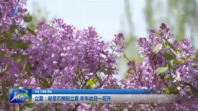 立夏：却是石榴知立夏 年年此日一花开