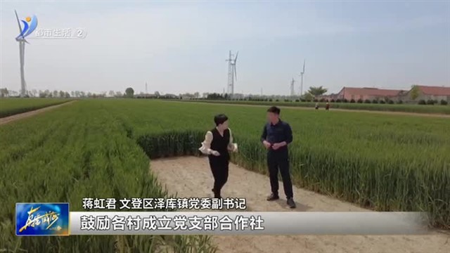 山东省先进工作者蒋虹君：扎根基层 谋兴农路