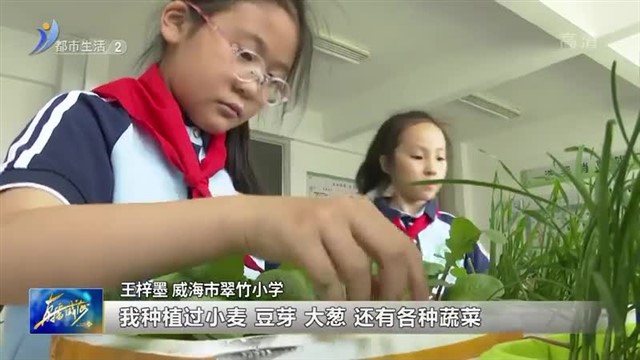 翠竹小学：打造劳动躬耕实践课程