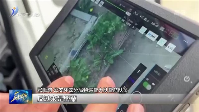 警惕！这种植物种一株也违法！