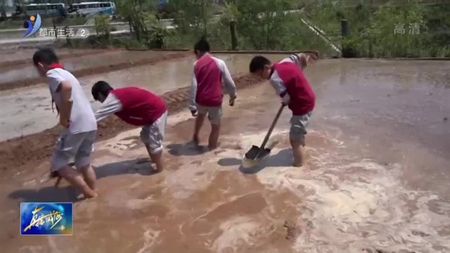 威海市福泰小学别样“六一”儿童节 用劳动的方式打开