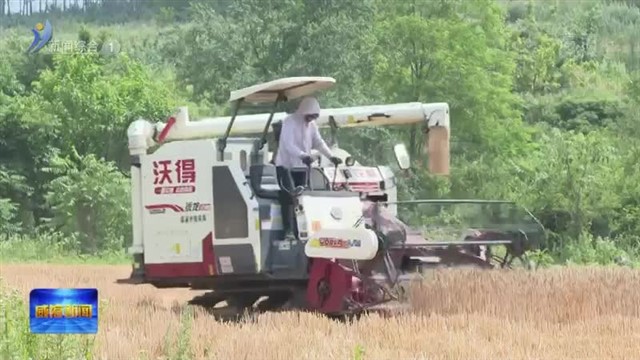 国网威海供电公司：服务保障“三夏”生产