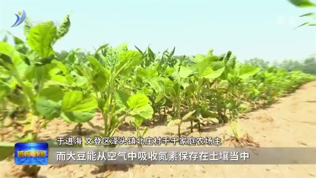 夏种夏管有序推进  筑牢粮食安全“压舱石”