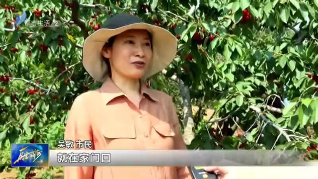 “助农直播”点燃乡村振兴新引擎