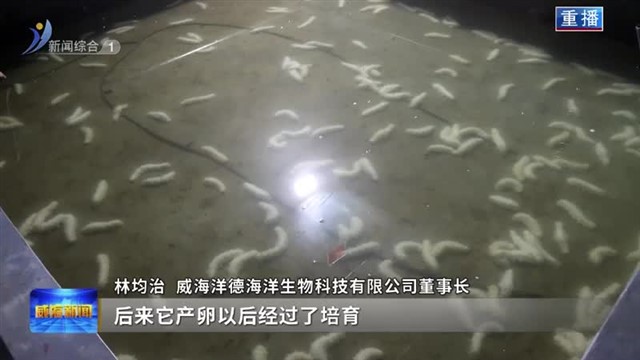 “蓝色种业小镇”推动海洋经济转型升级【威海广电讯】