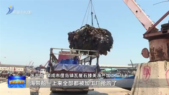 由粗到精 延伸海带产业链【威海广电讯】