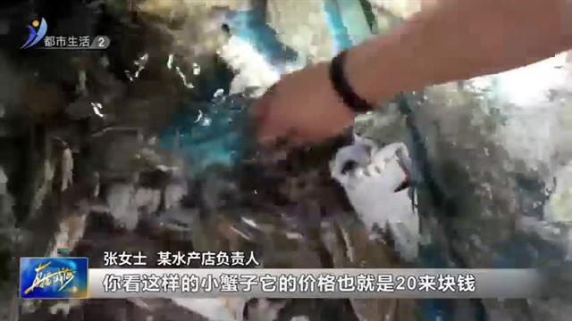 梭子蟹“游”上桌 鲜美又不贵【威海广电讯】