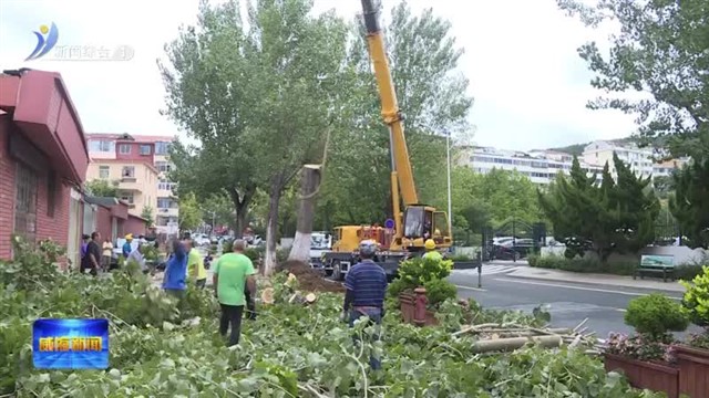 快处置！强降雨后城市精管护【威海广电讯】