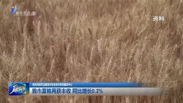 阳光问政对话威海市农业农村事务服务中心：我市夏粮再获丰收 同比增长0.2%【威海广电讯】