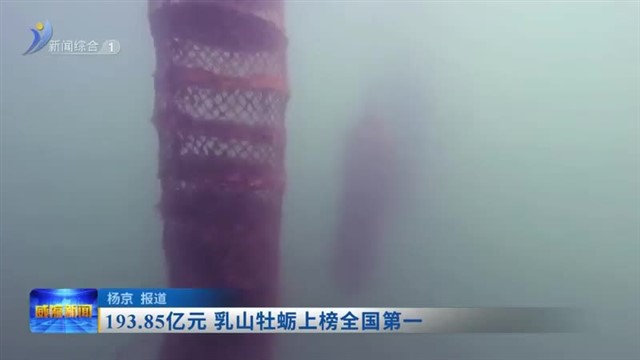 193.85亿元 乳山牡蛎上榜全国第一【威海广电讯】