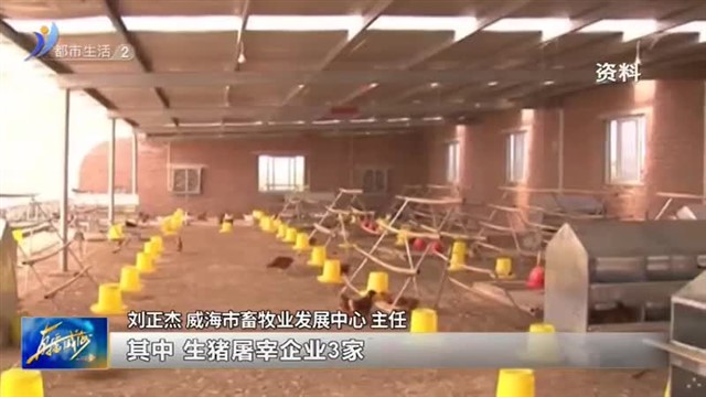 狠抓关键环节监管 规范和提升畜禽屠宰行业【威海广电讯】