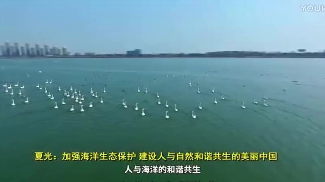 【威海广电讯】中国海洋资讯 2023-10-09