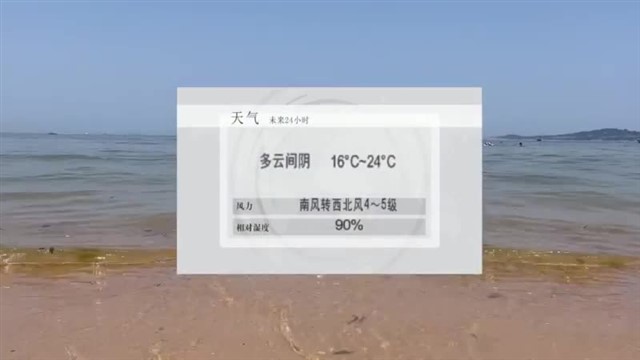 【威海广电讯】海洋预报 2023-10-08