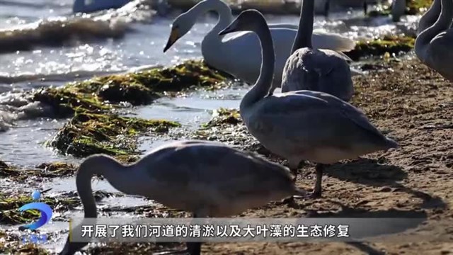 【威海广电讯】中国海洋资讯   2023-11-06