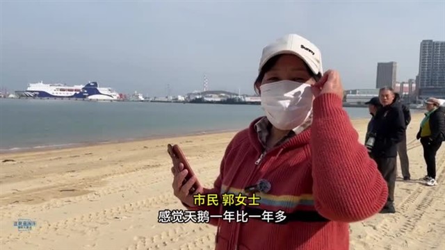 【威海广电讯】中国海洋资讯 2023-11-15