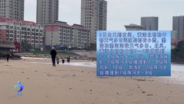 【威海广电讯】海洋预报   2023-11-08