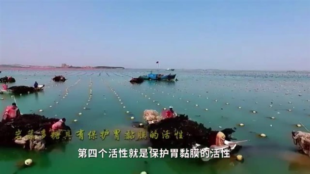 【威海广电讯】中国海洋资讯  2023-12-29