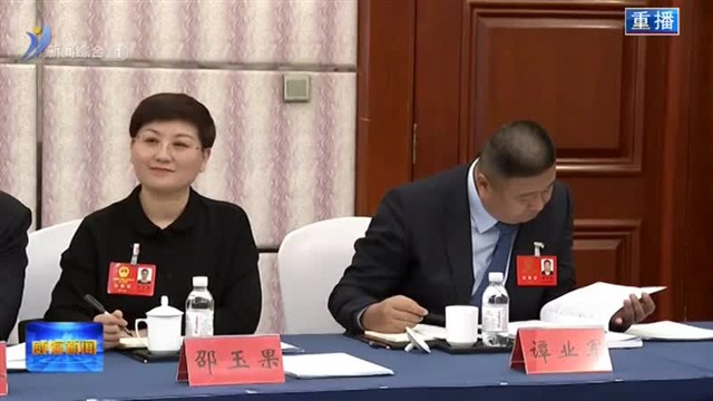 威海代表团集中审议省政府工作报告【威海广电讯】