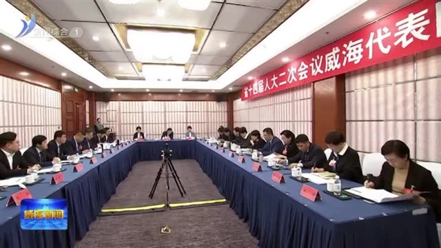 威海代表团集中审议省人大常委会和省“两院”工作报告【威海广电讯】