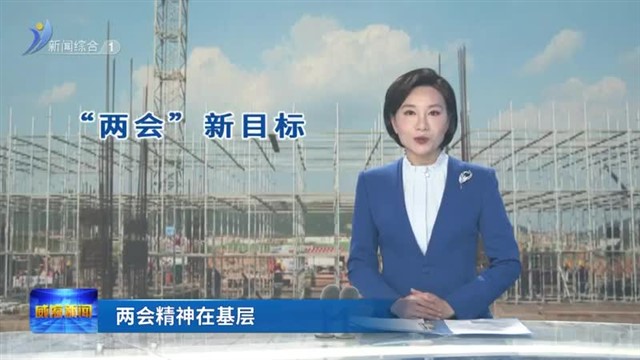 “两会”新目标：项目建设大提速【威海广电讯】