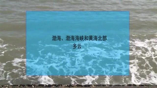 【威海广电讯】海洋预报  2024-02-02