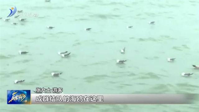 寒潮来袭 游客看海热情不减【威海广电讯】