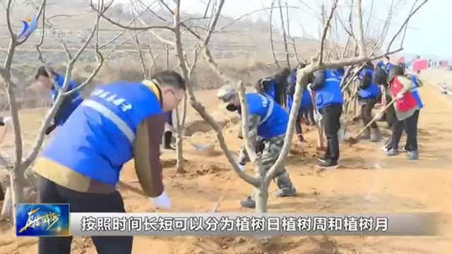 小主播说节日：植树节【威海广电讯】