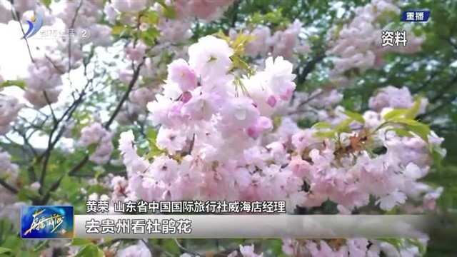 “上春山”：探索大好春光【威海广电讯】