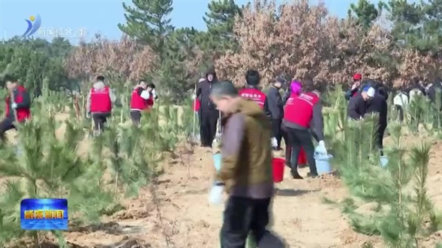 春回大地 “植”此青绿【威海广电讯】